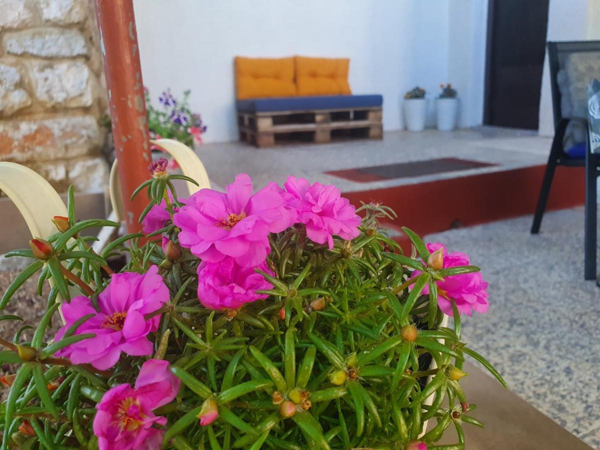 Apartman Bake Milke Senj  Bagian luar foto